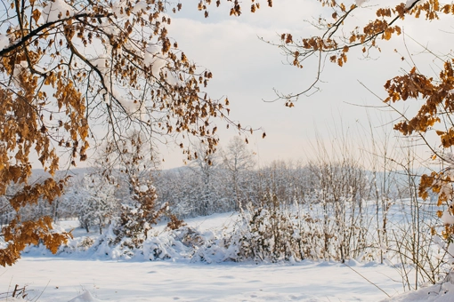 Dry winter season benefits