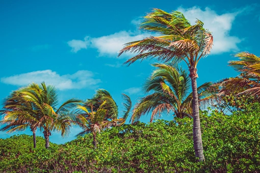 Hurricane season awareness